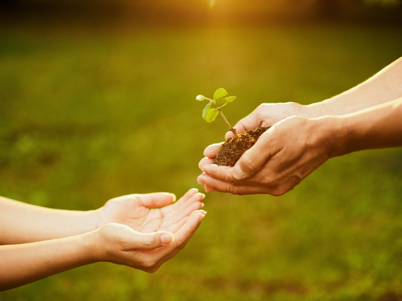 心理支援意象圖